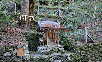連理の杉と末社・日吉社